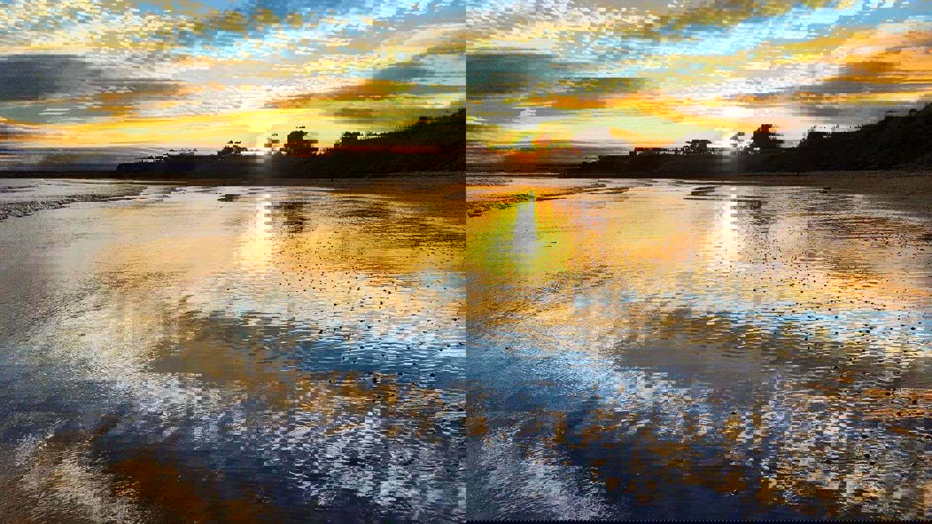 alnmouth-hero-at_michael_bell_travels