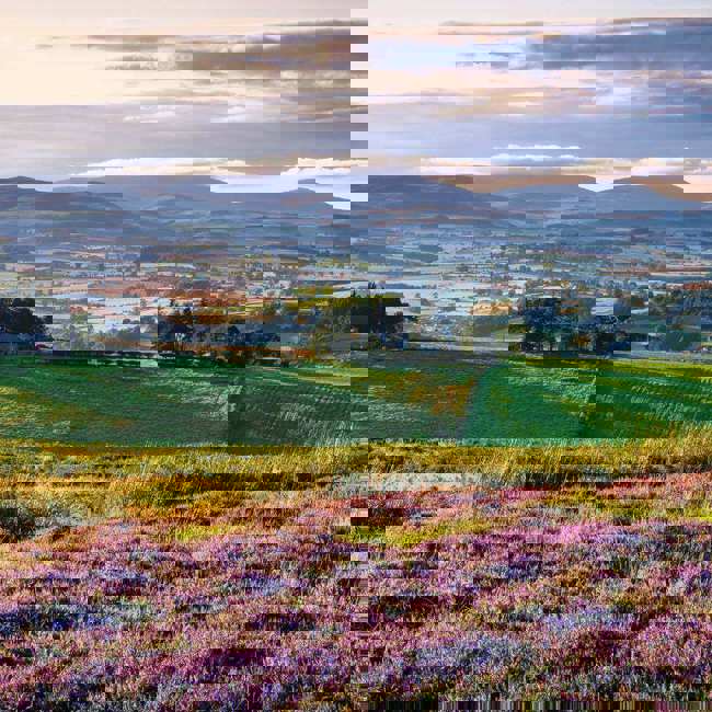 countryside-spring