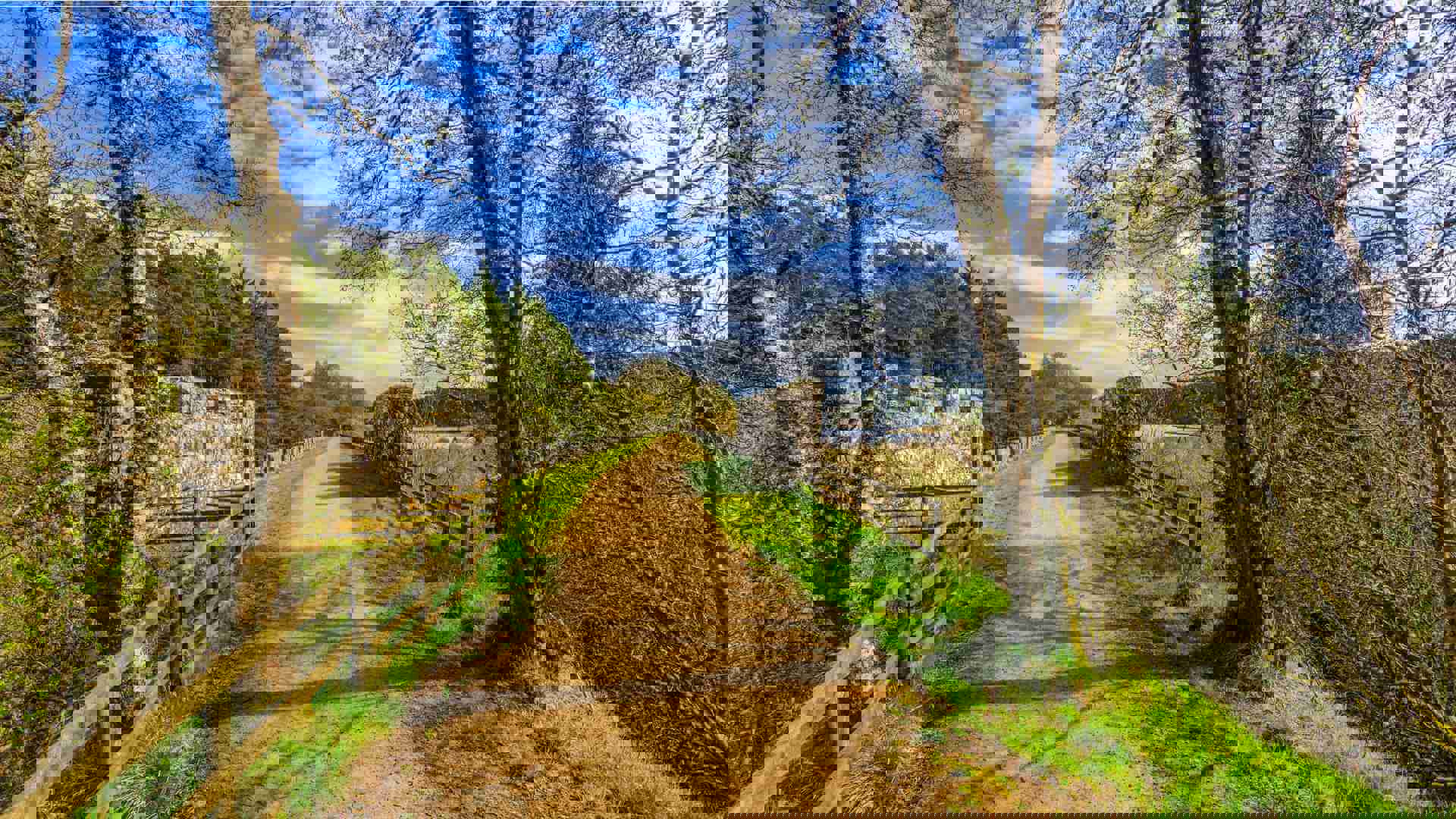 kielder-village-2023_20perc