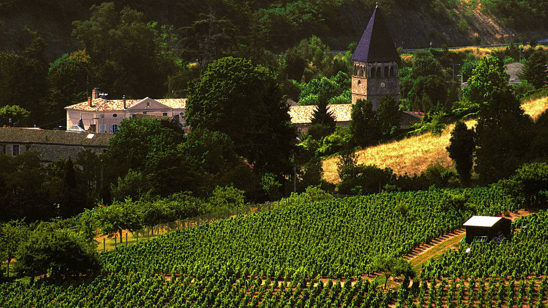 Bailiffgate Hotel Beaujolais Wine Evening