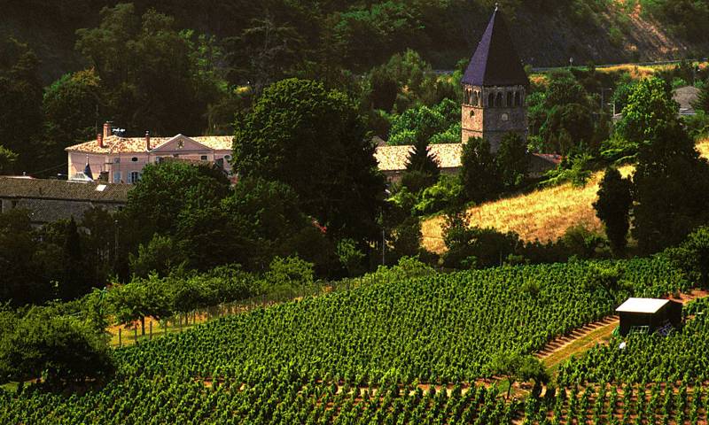 Bailiffgate Hotel Beaujolais Wine Evening