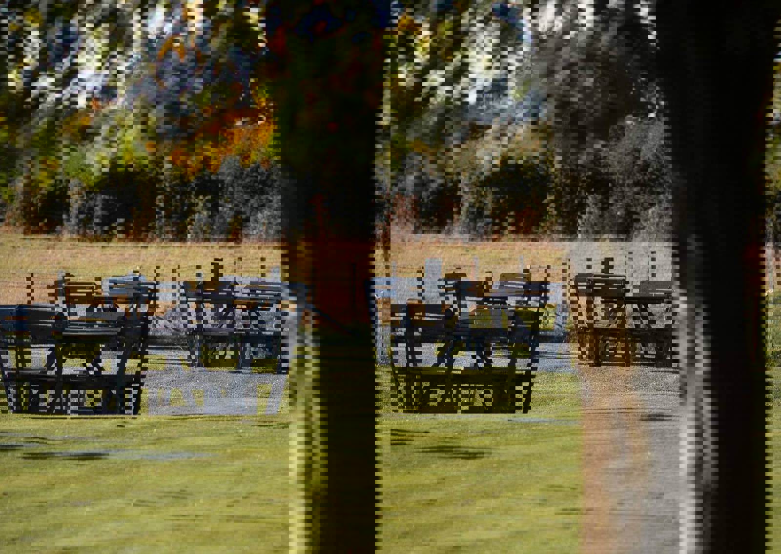 Beer-Paddock