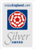 Silver Award Trans