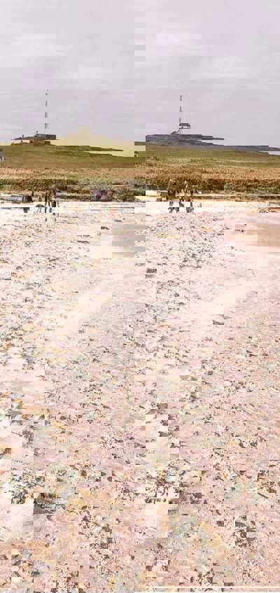 short-walks-jenmeiks