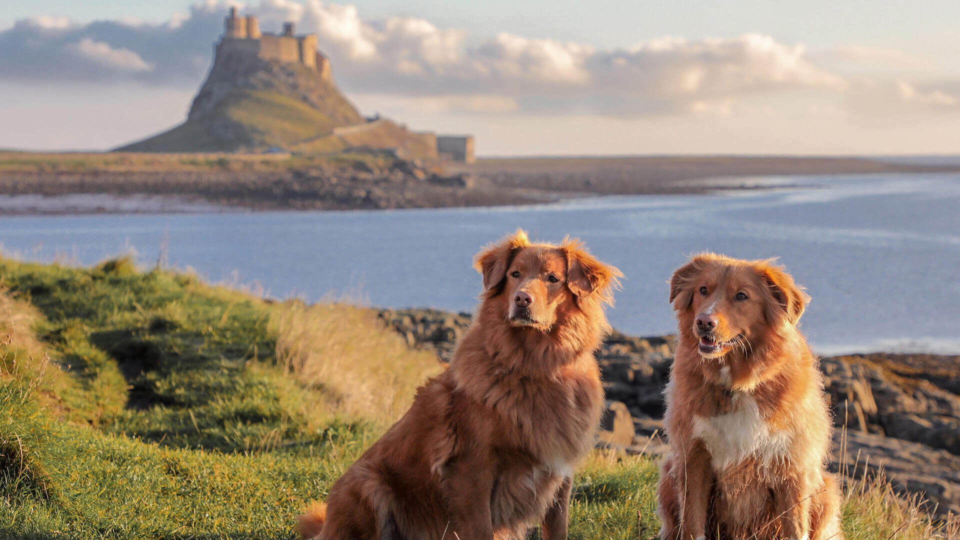 Islands-Holy-Island-HERO-Credit-@janehuntley_photography
