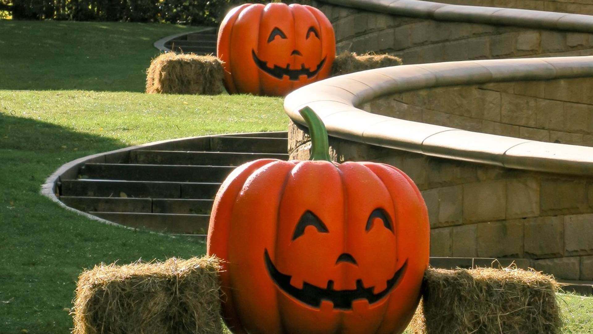 alnwick-pumpkin-garden