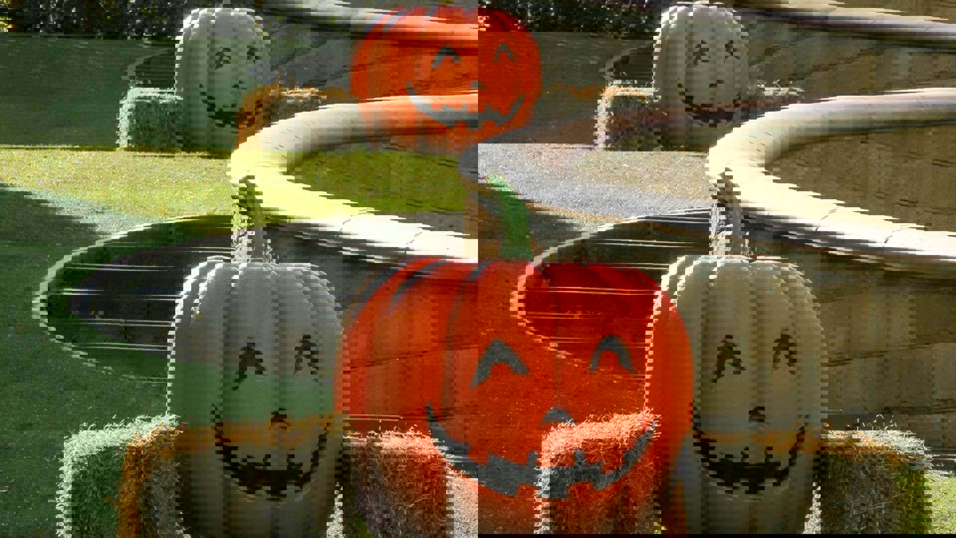 alnwick-pumpkin-garden