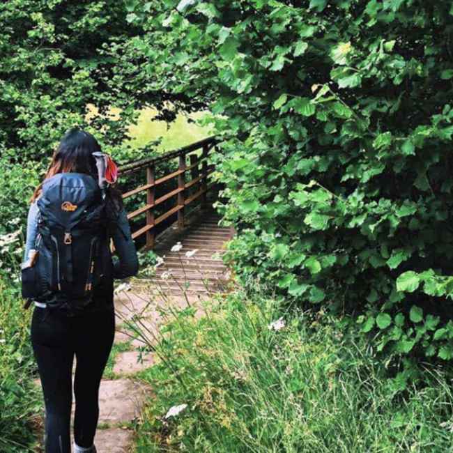 Hexham Walks