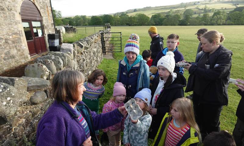 Bioblitz Allendale