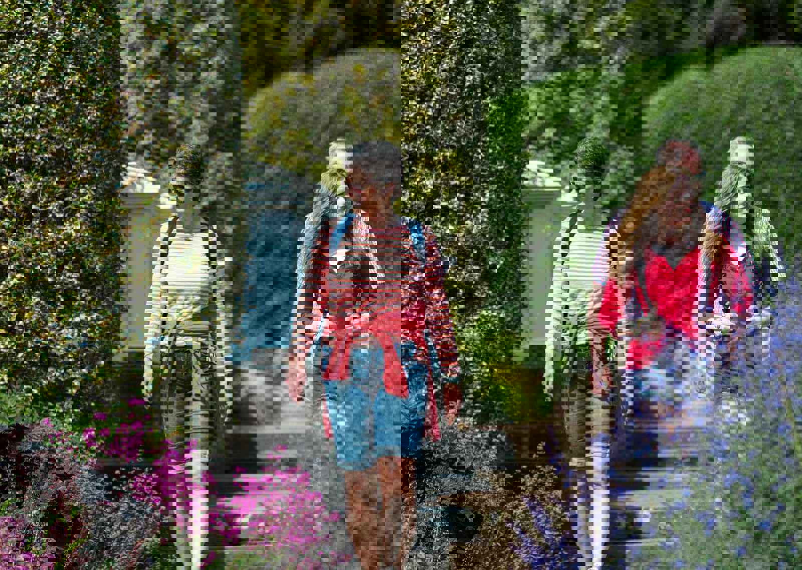 formal-garden