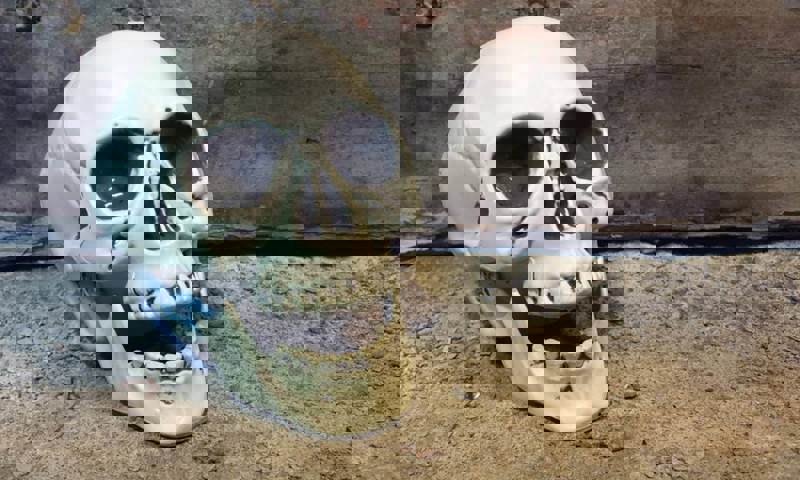 hexham-skull-trail