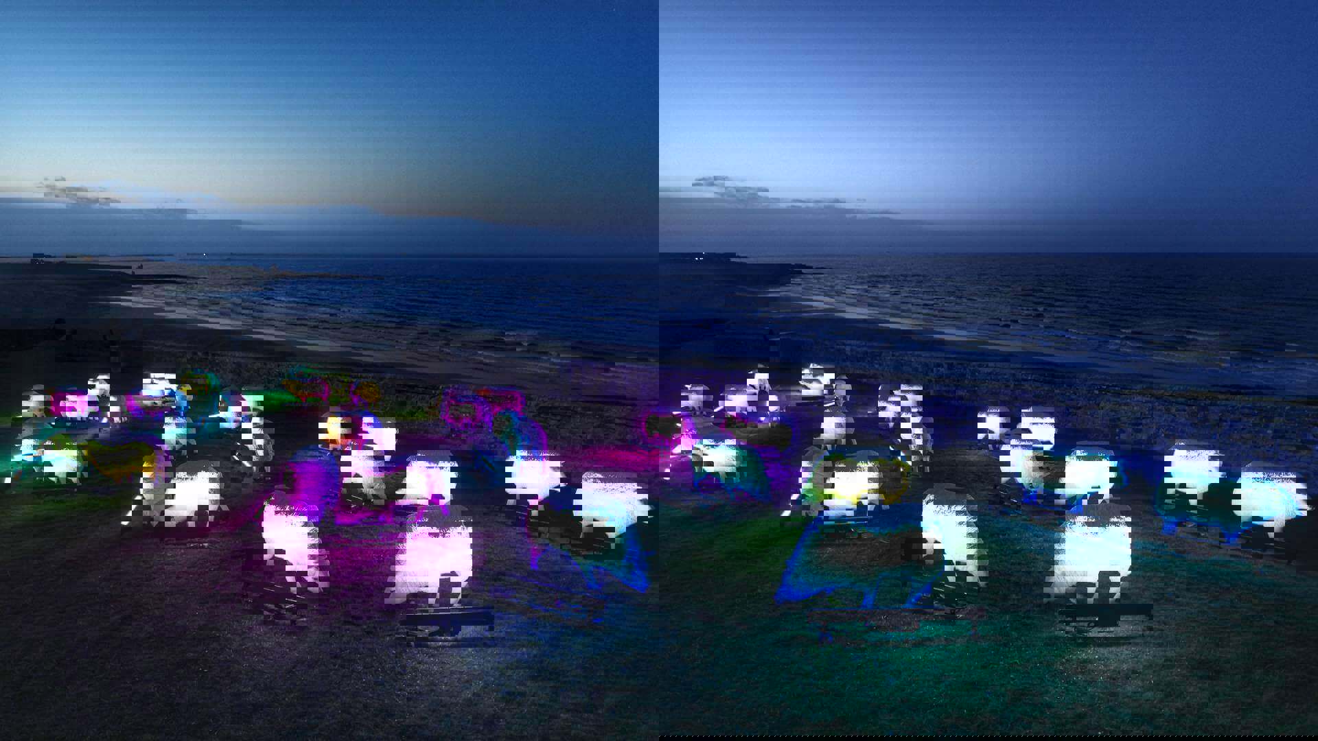 winter-warmers-2023-illuminated-sheep