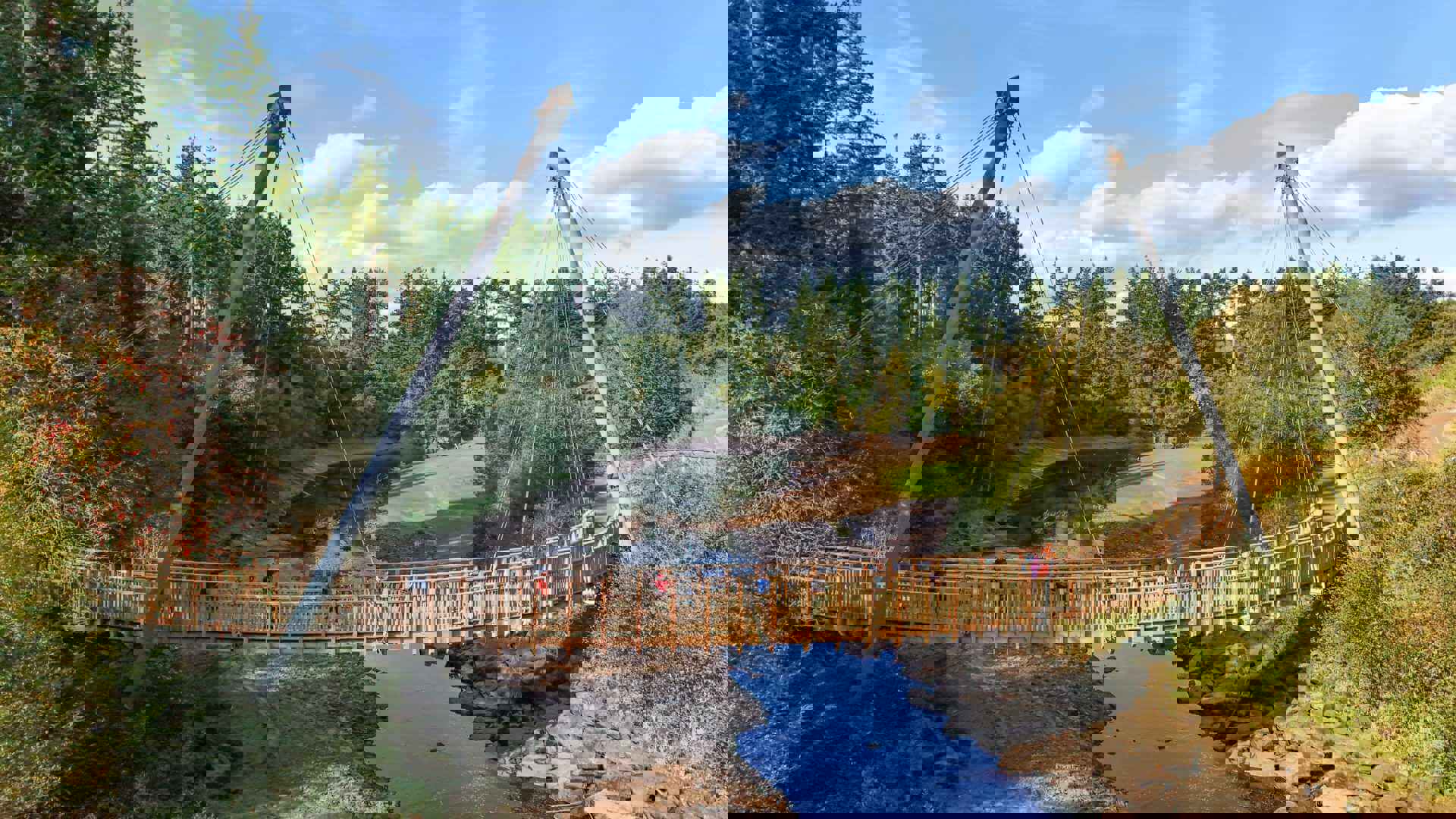 kielder-location-hero