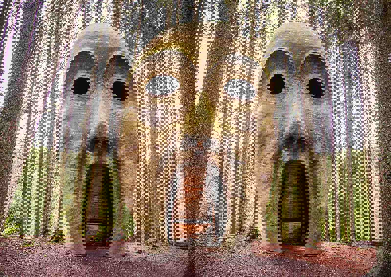 forest-head