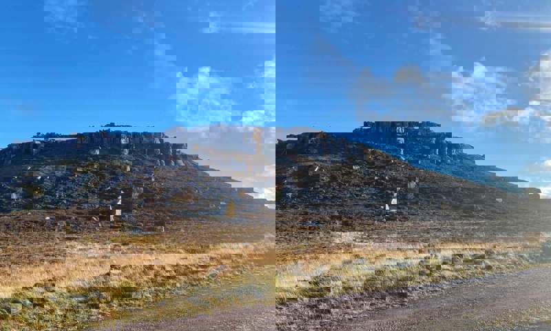 simonside