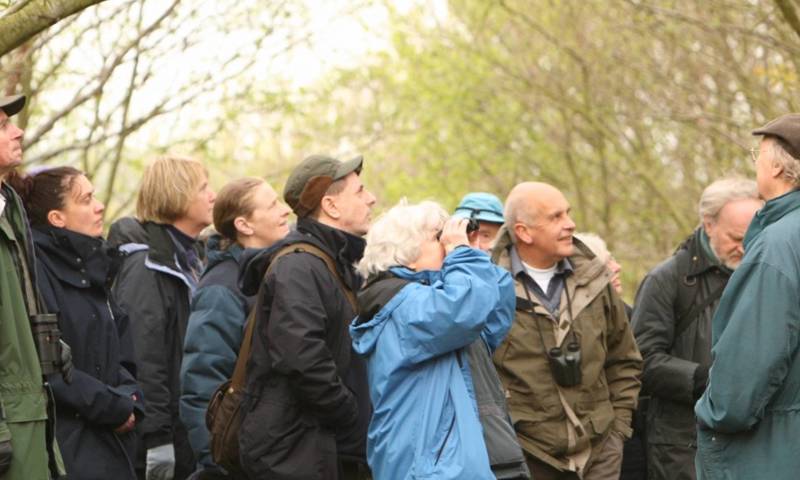 Weetslade Guided Spring Walk