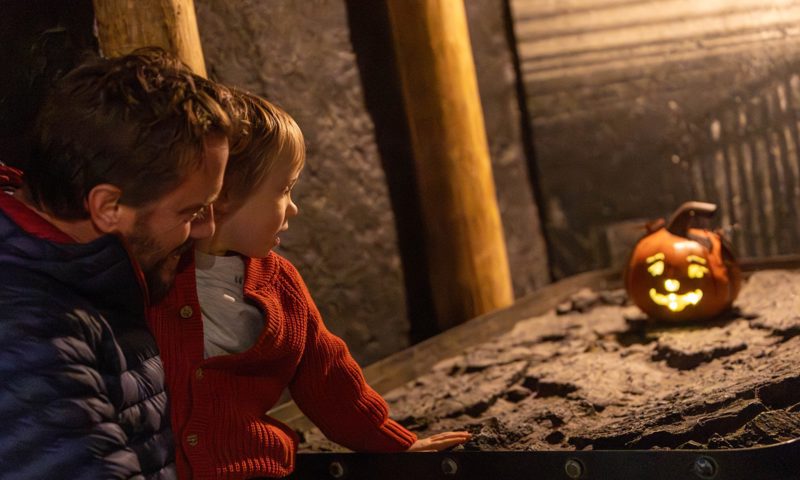 Pumpkin Trail Woodhorn