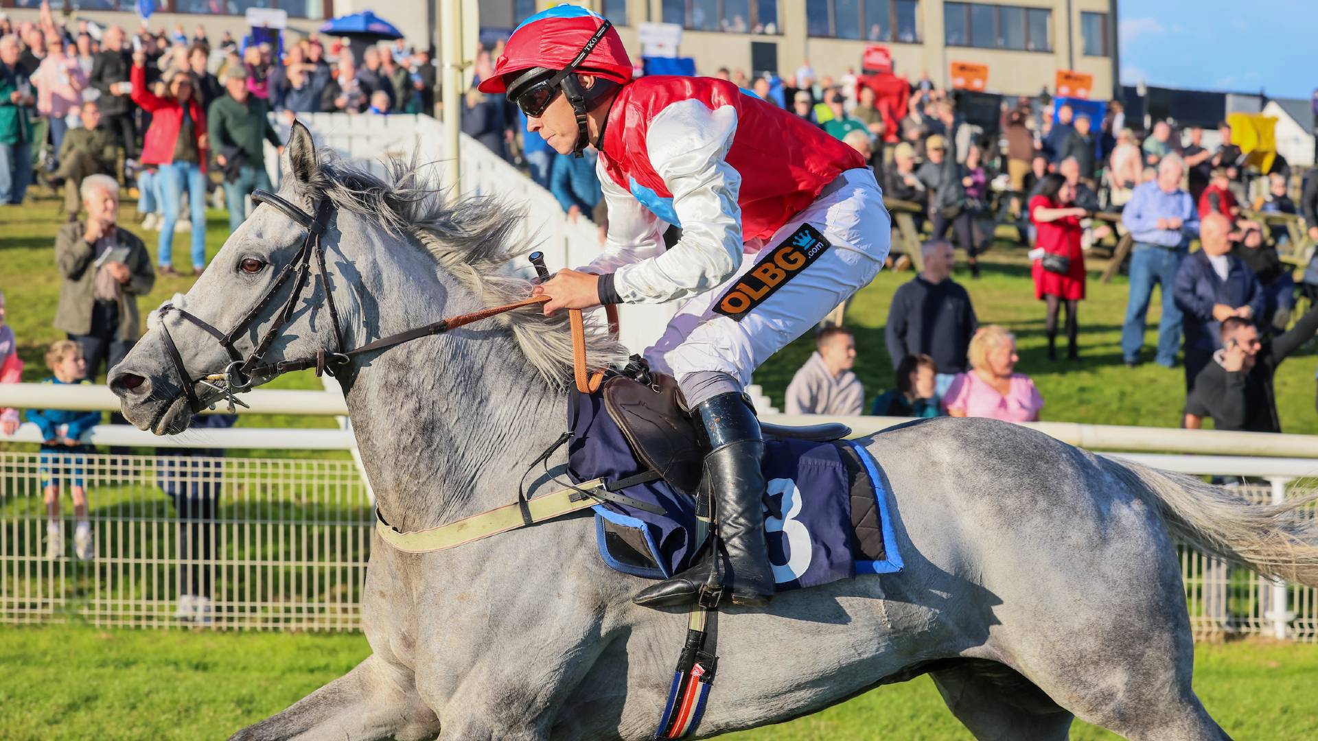 Cheltenham Day Hexham Racecourse