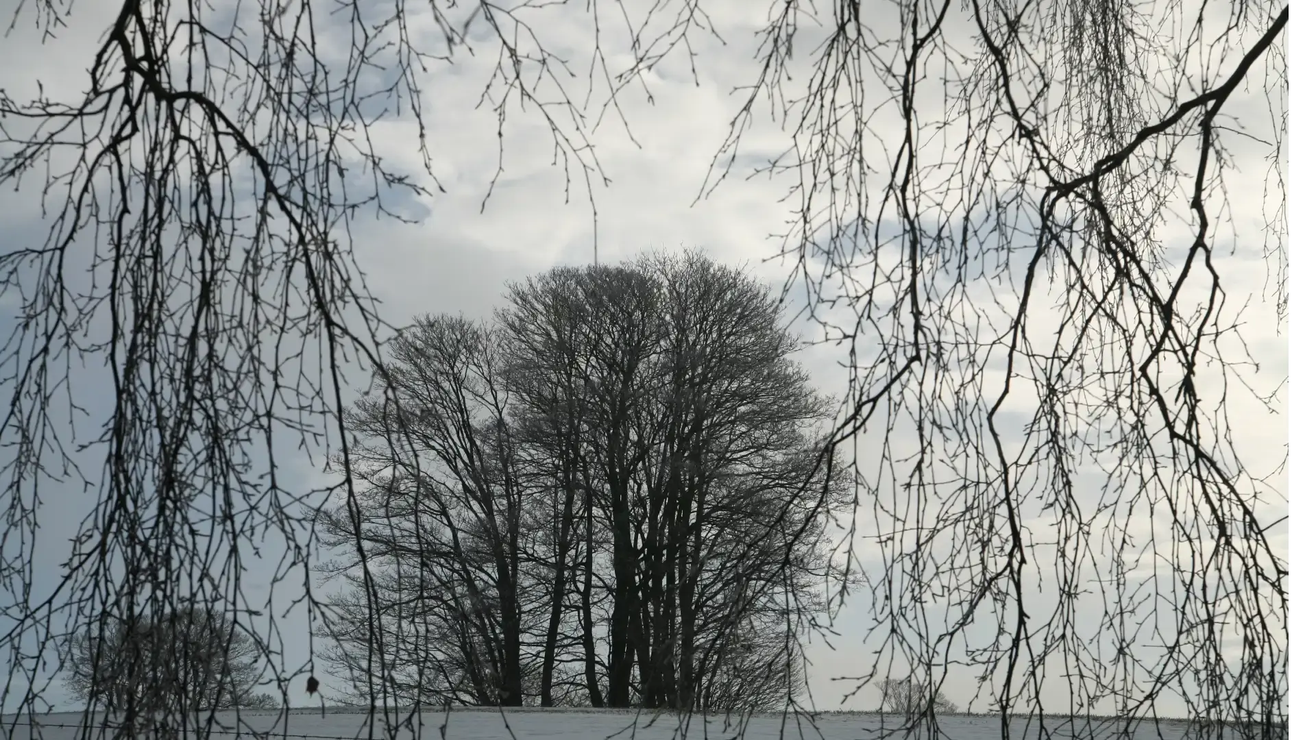 Northumberland Wildlife Trust