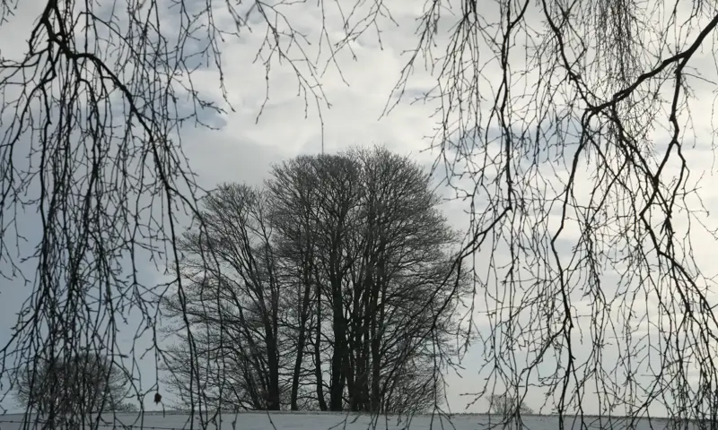 Northumberland Wildlife Trust