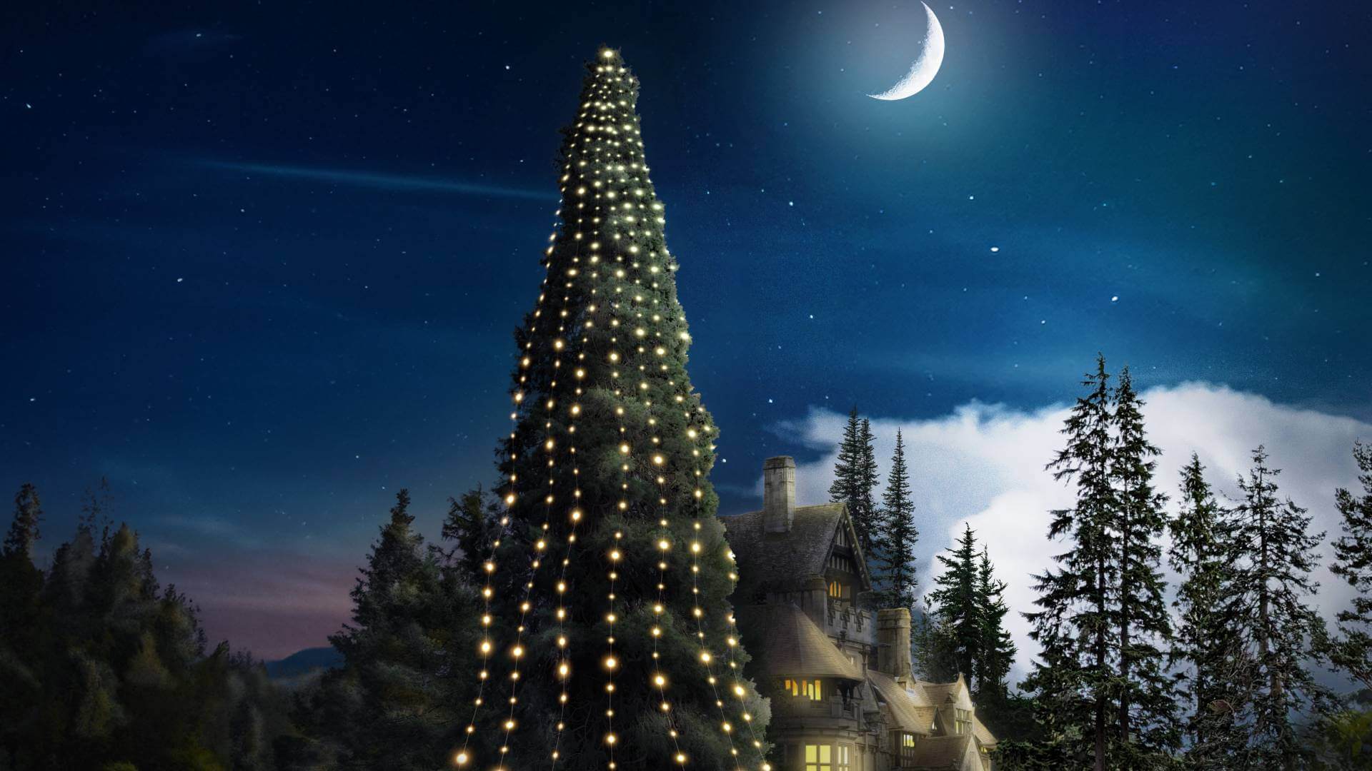 Cragside-Tallest-Tree