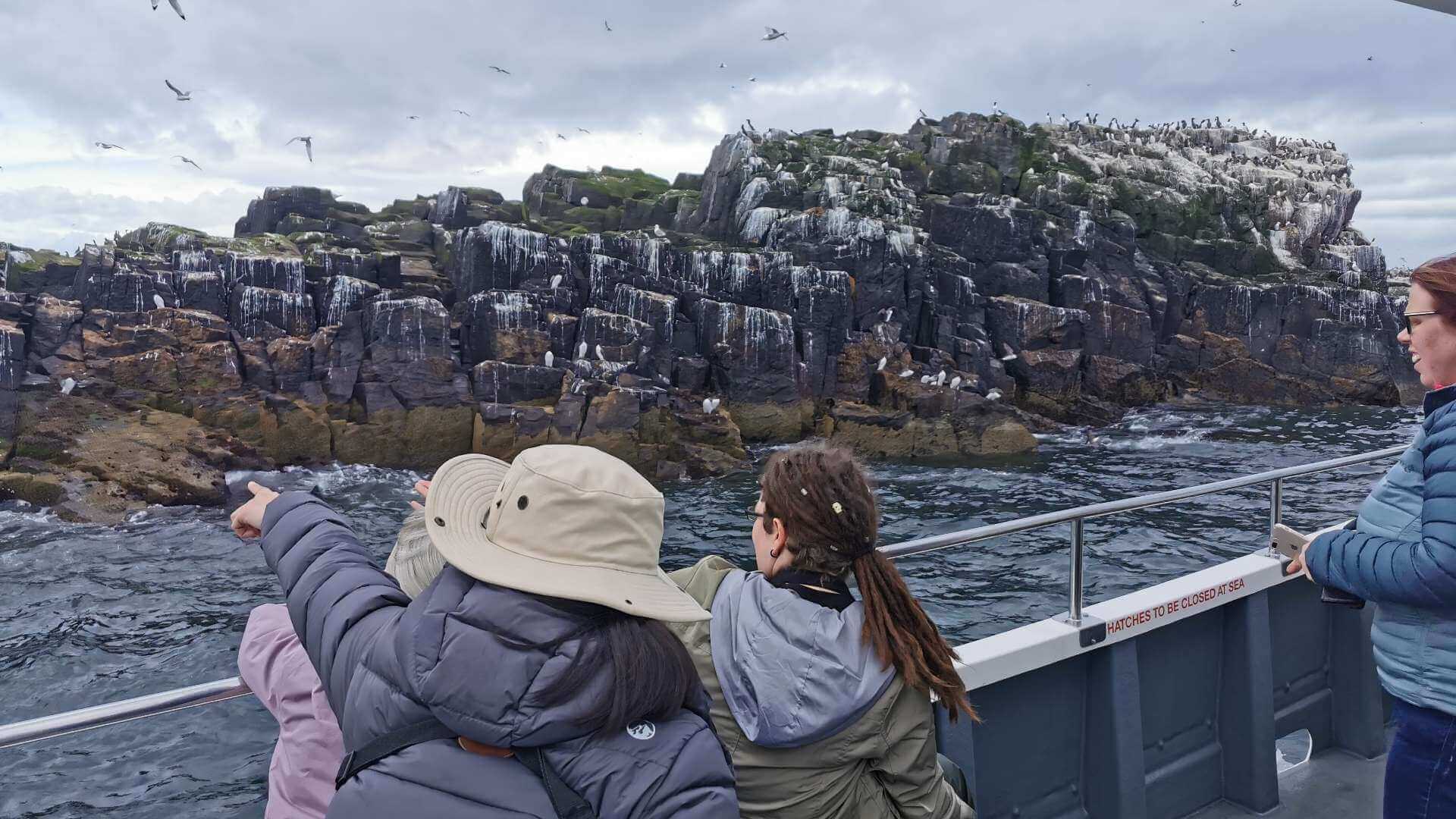 Five Things to Know Before you Visit the Inner Farne Island