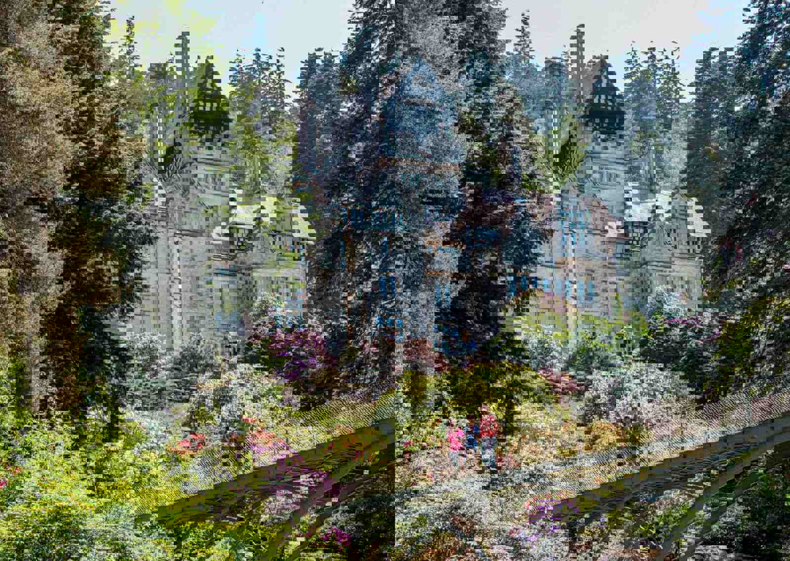 cragside-grounds