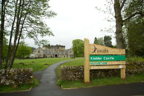 Art & Architecture fenced in at Kielder Castle