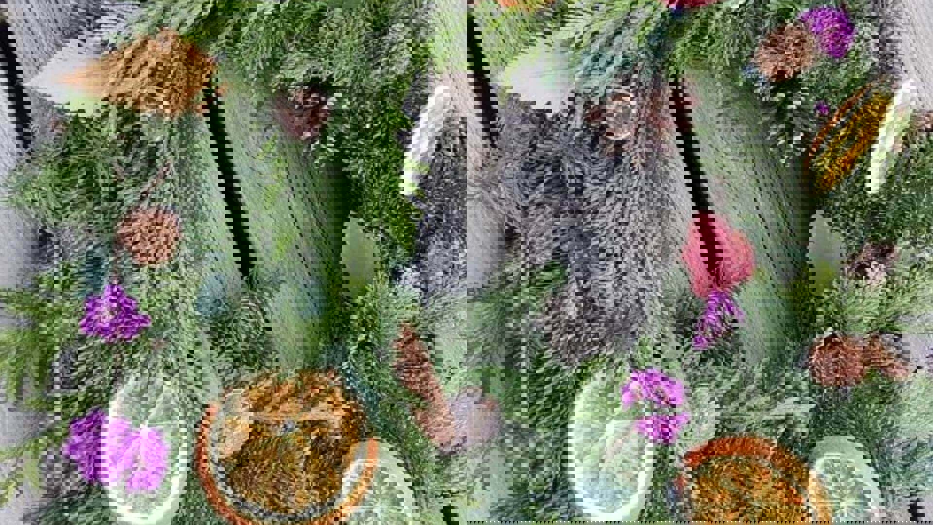 Ad-Gefrin-Yule-Wreath