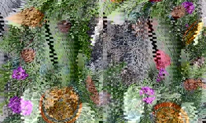 Ad-Gefrin-Yule-Wreath