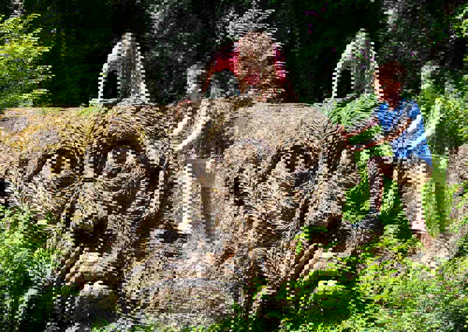 cragside-wood-carvings_1