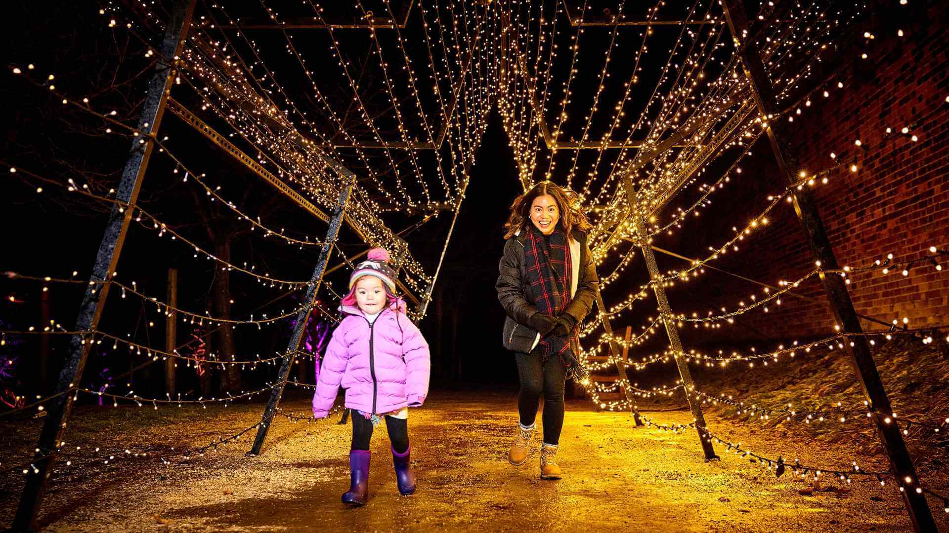 alnwick-garden-light-trail