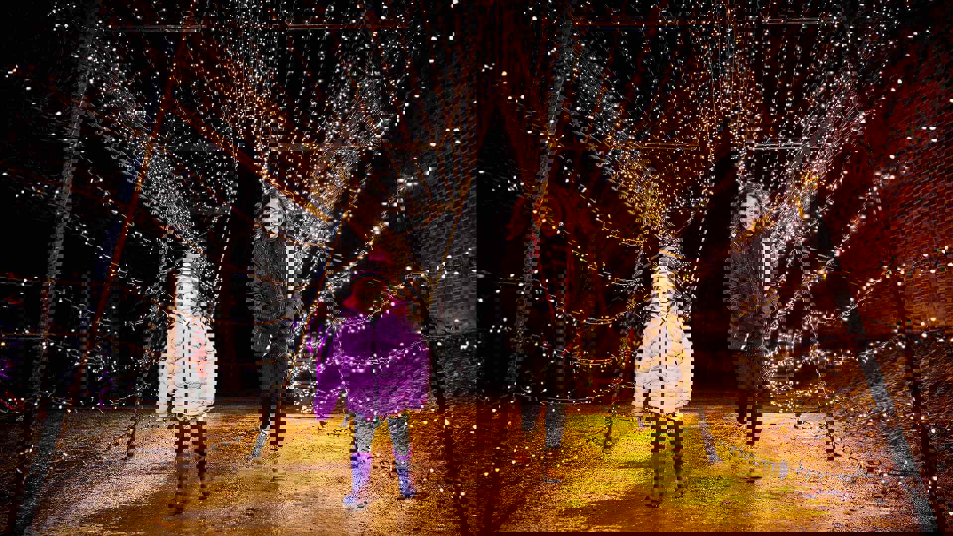 alnwick-garden-light-trail