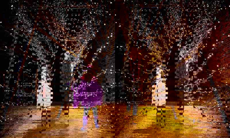 alnwick-garden-light-trail