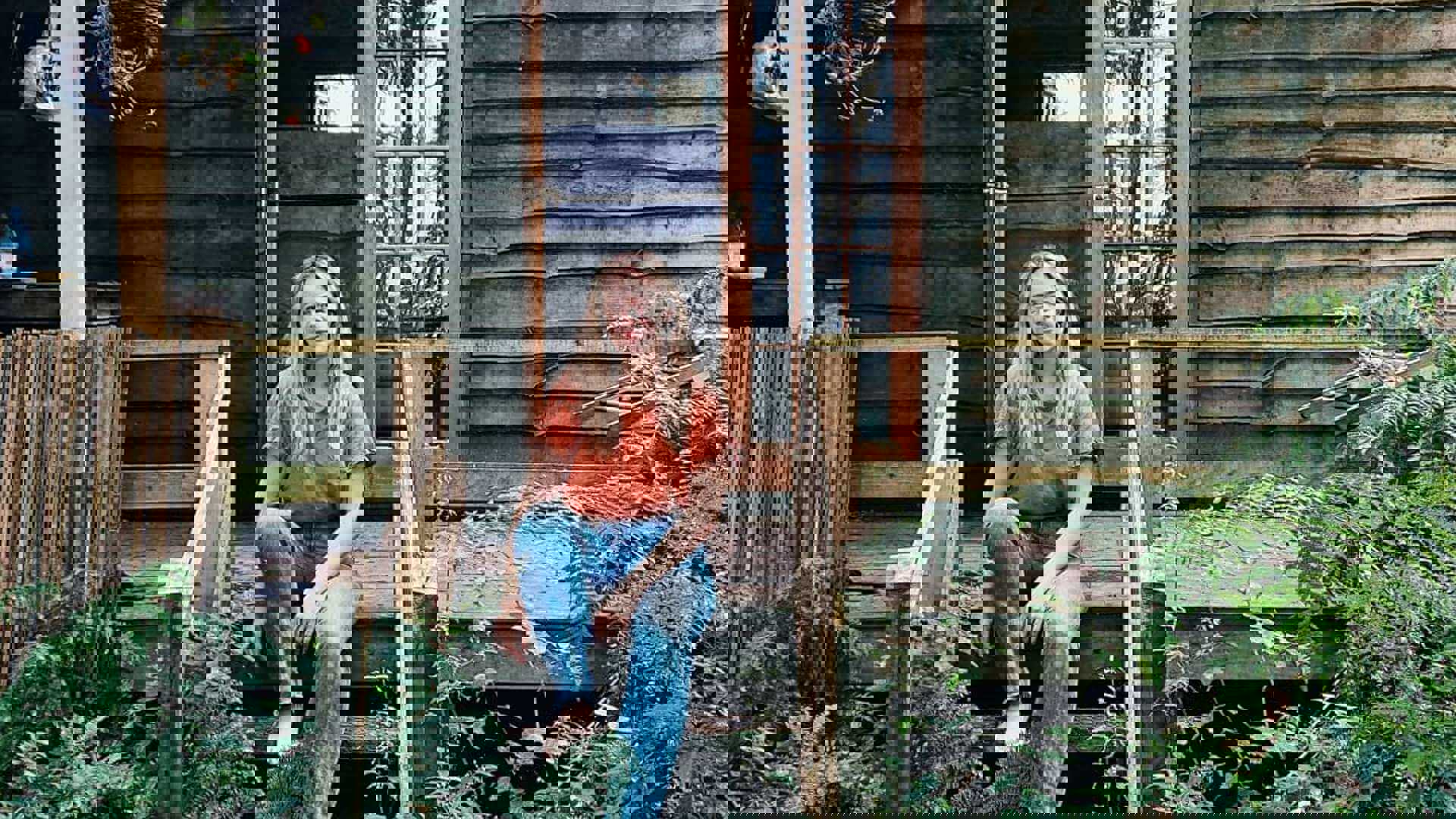 belford-stacey-carter