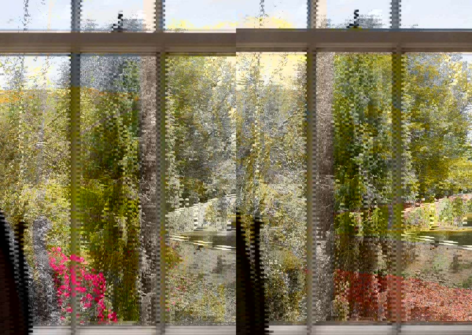 Window