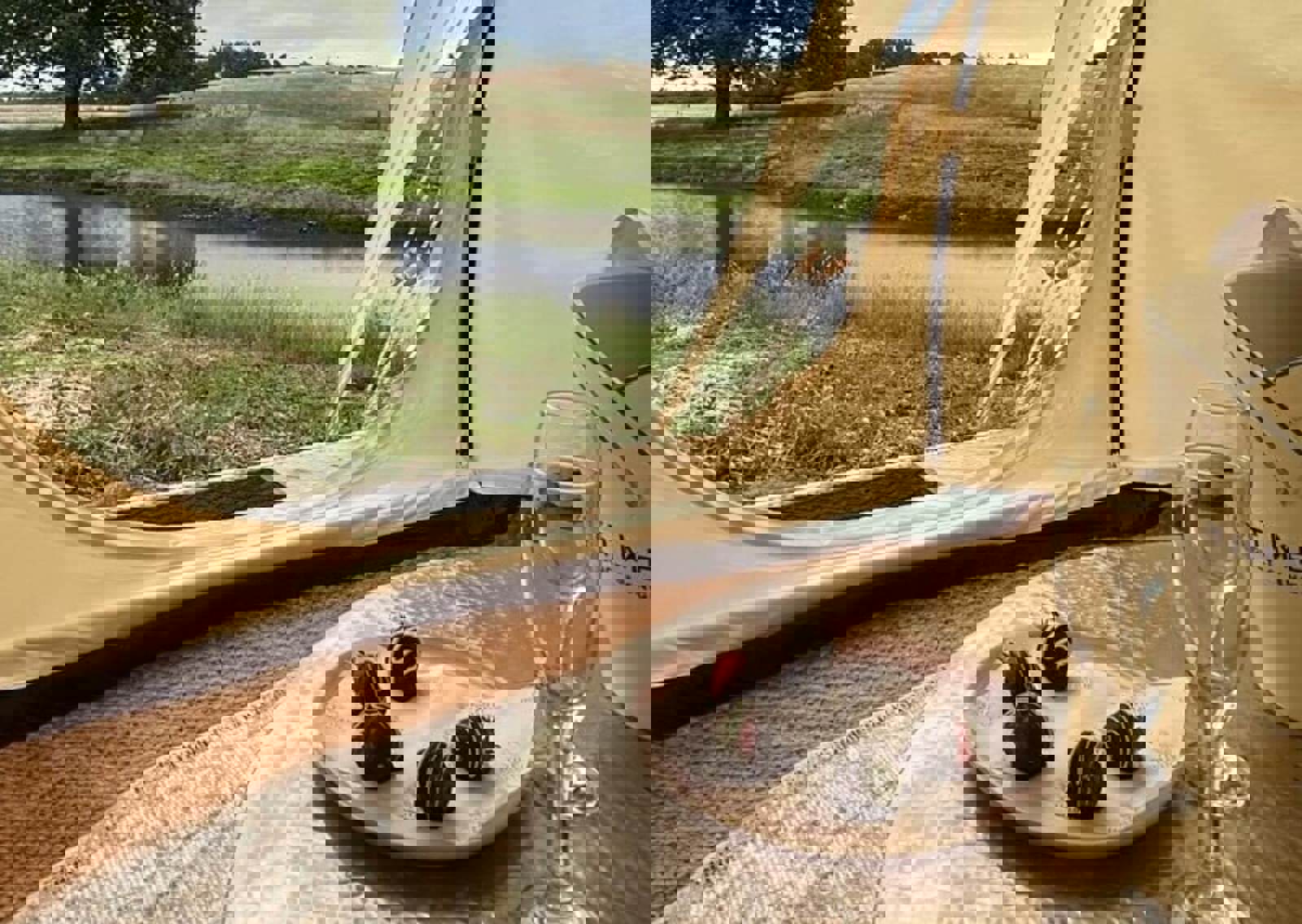 Fizz-and-view.jpg