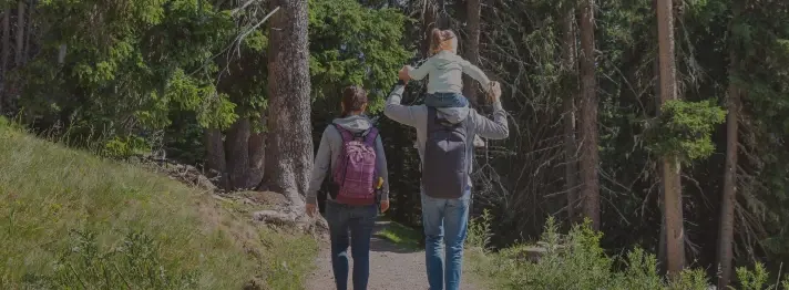 Footer Example Family Tint 50