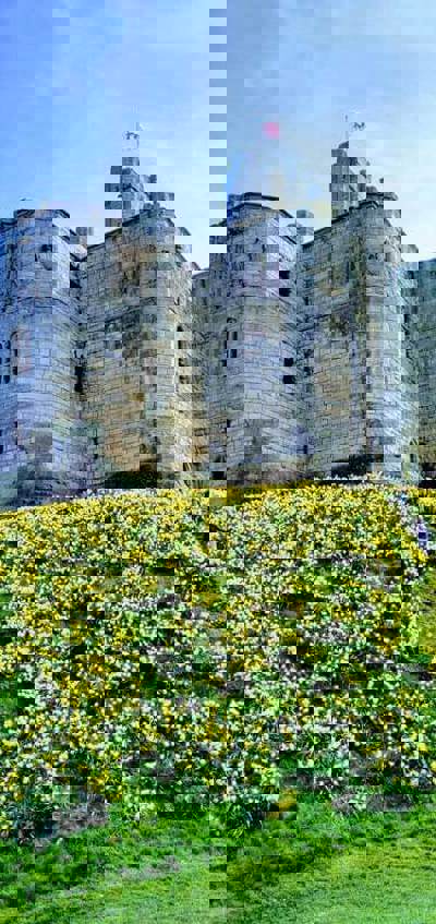 warkworth-component-image