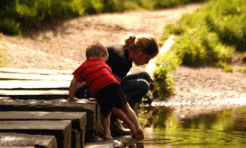 vn-large-Bedlington-Country-Park-Local-Nature-Reserve-Lake-Stepping-Stones.gif