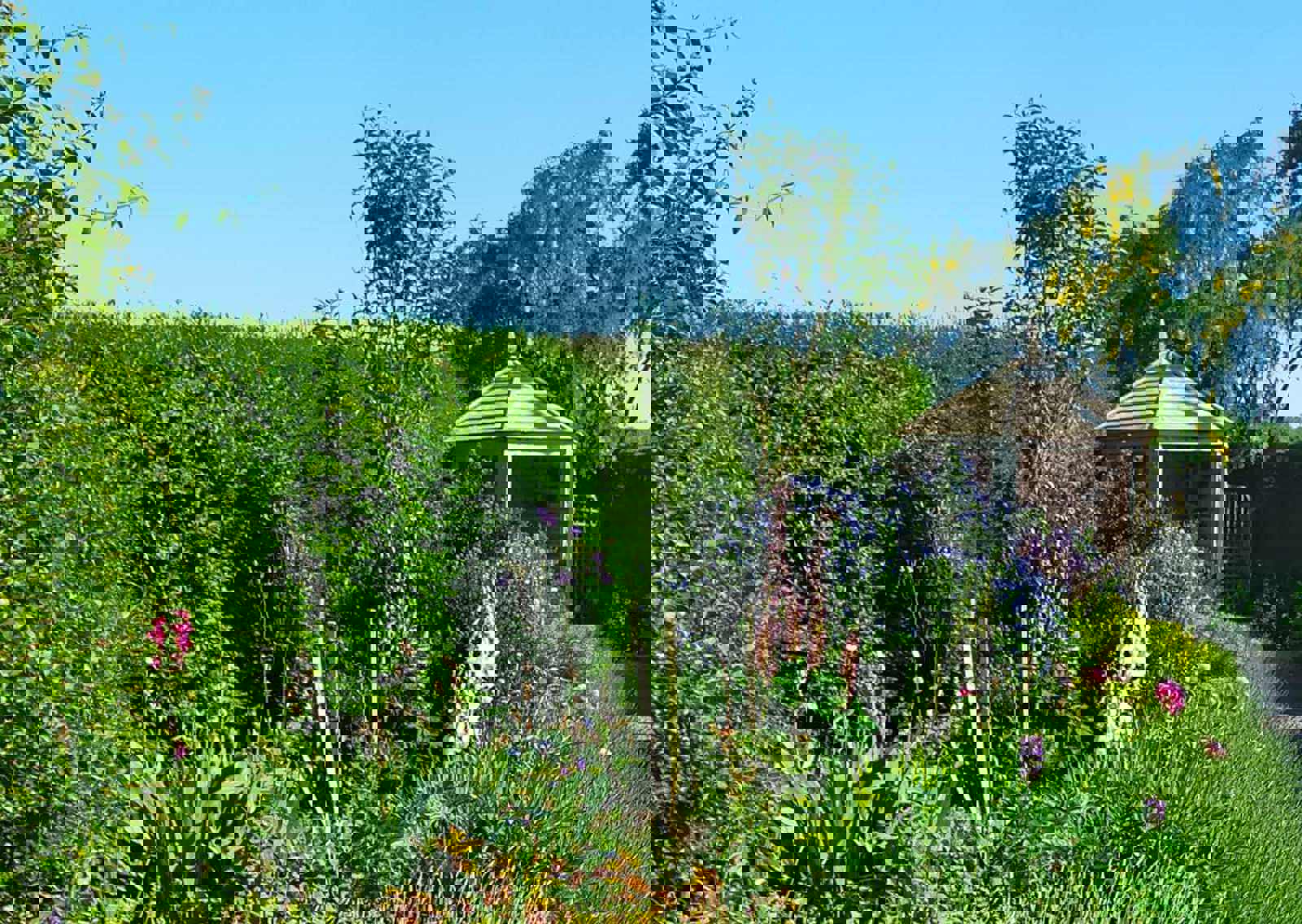 Garden-2