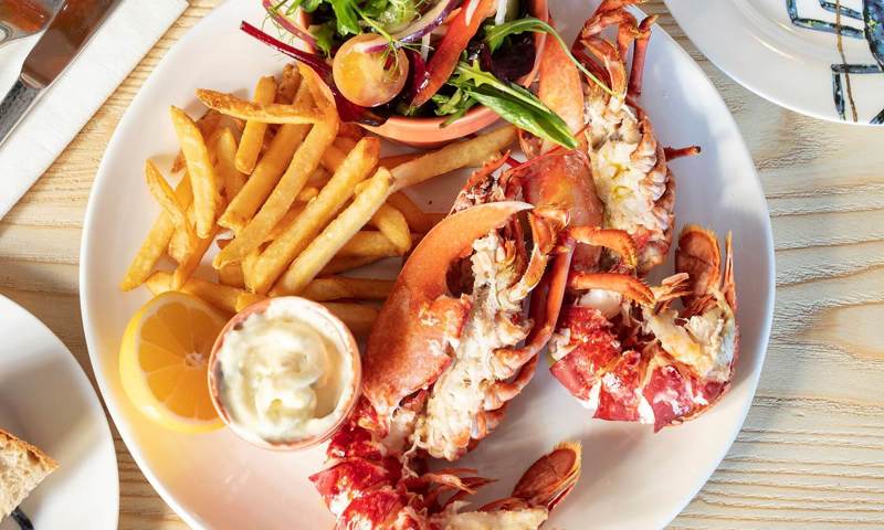 Potted_Lobster_Feb22_033-crop-landscape