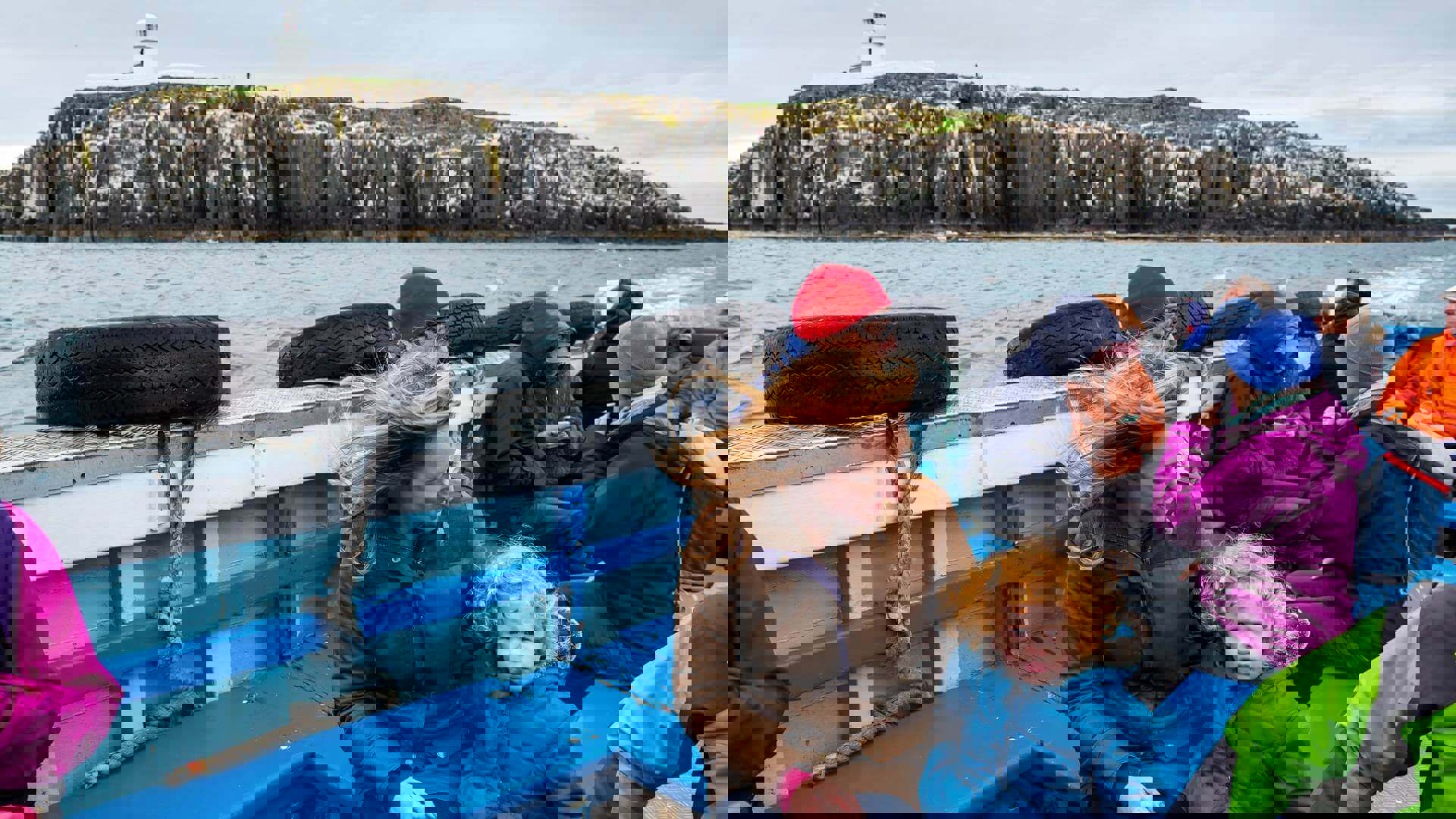 farne-islands-bird-flu