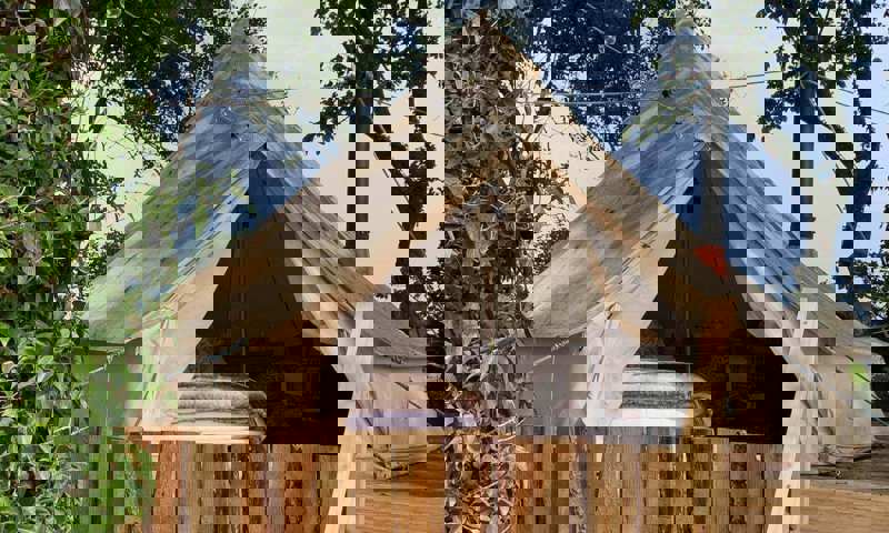 The-Bell-Tent-Howick-2022