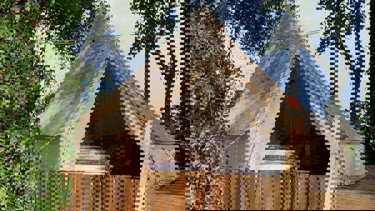 The-Bell-Tent-Howick-2022