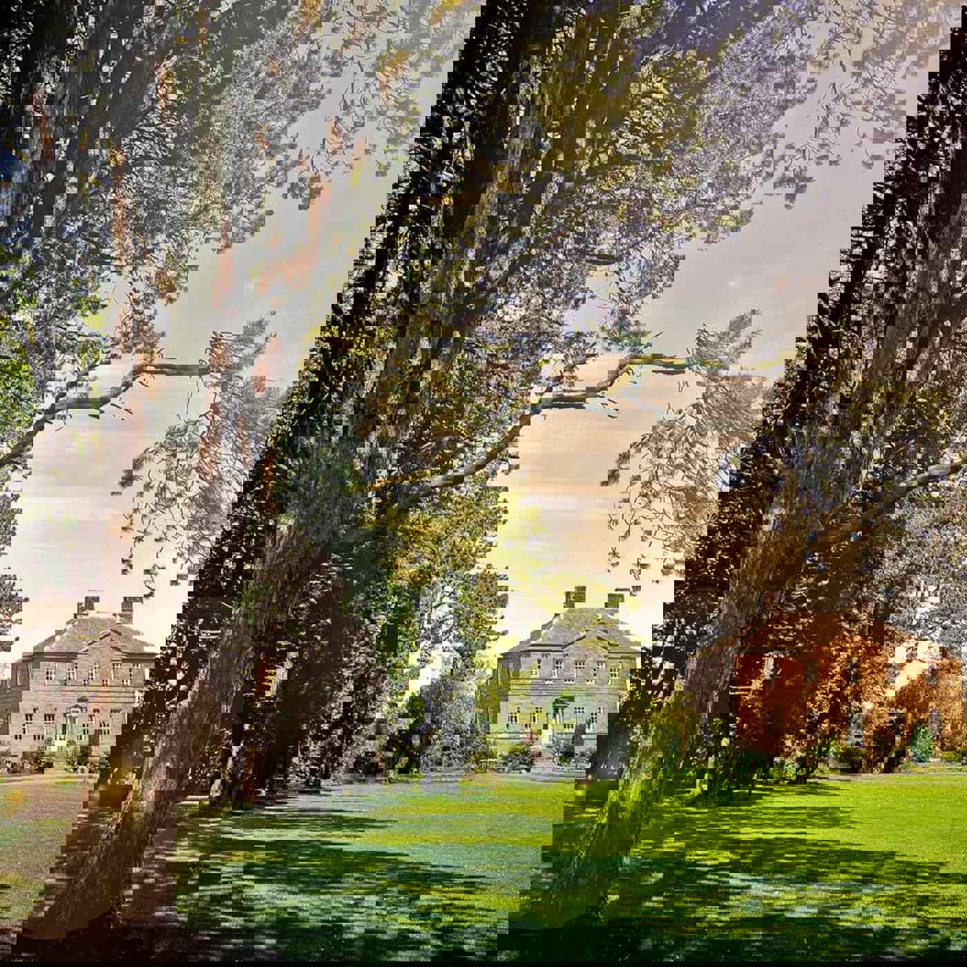 late-availability-2023