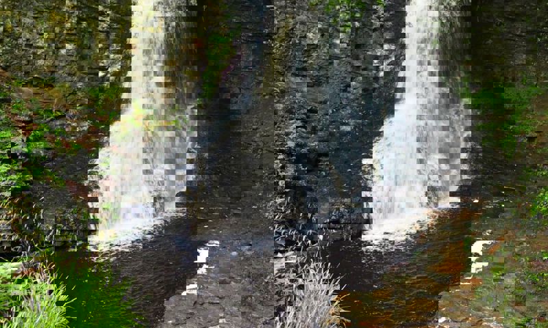 vn-large-hareshaw-linn.jpg
