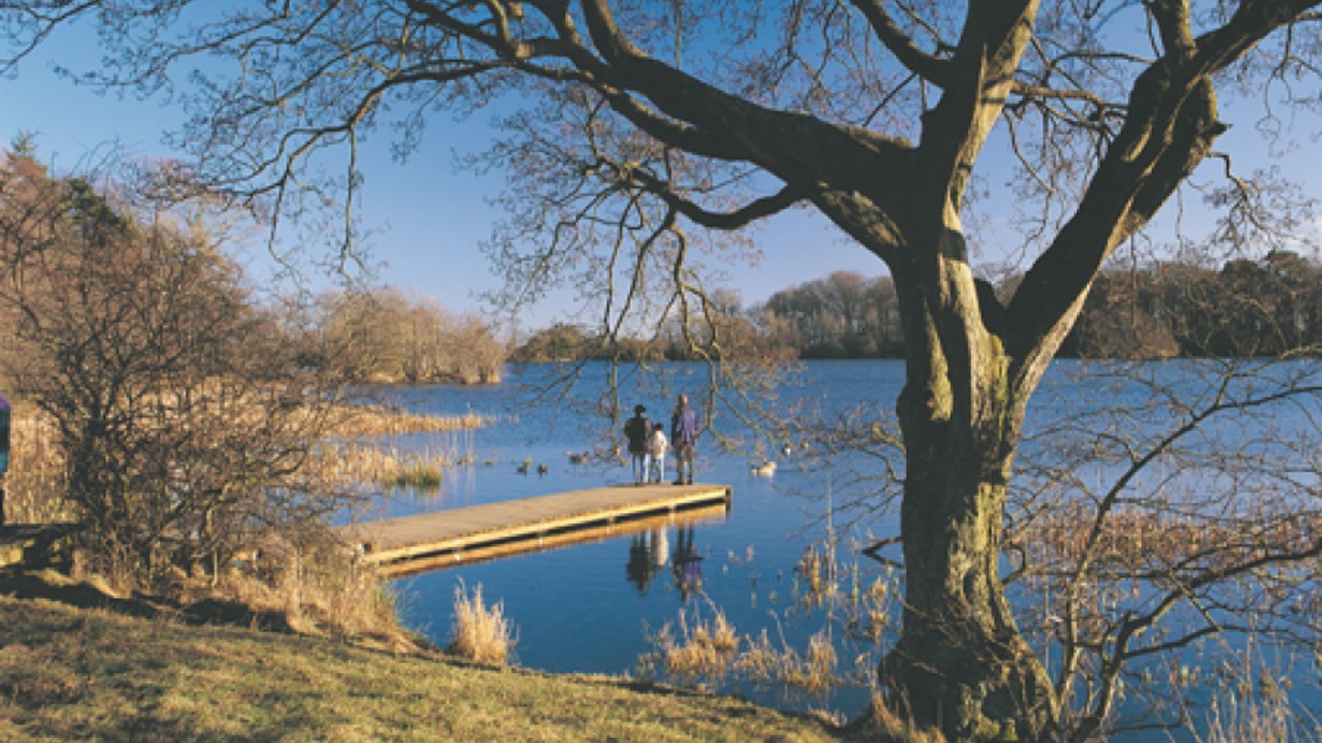 vn-large-Bolam-Lake-Country-Park