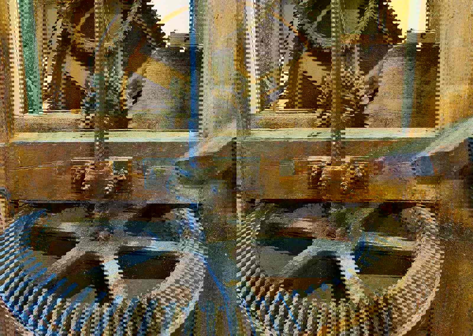 mill-cogs