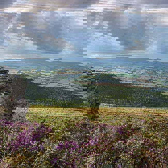 Simonside-Hills-NNPA
